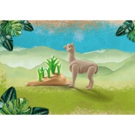 Alpaca